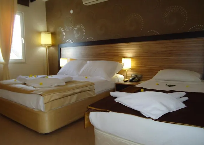 מלון Ayvalik Beach Hotel