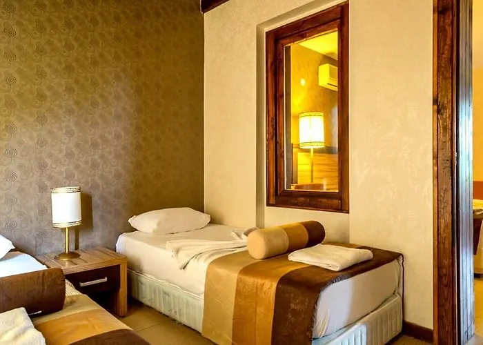 מלון Ayvalik Beach Hotel